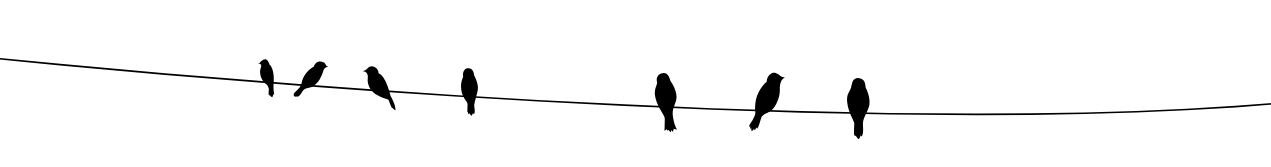 Birds sitting on a wire, used here as a horizontal page divider