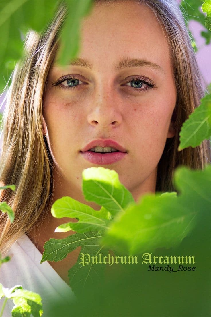 Original Pulchra Arcanum Cover (2018): Young girl looking at the viewer through leaves, bottom right hand corner reads Pulchra Arcanum by Mandy_Rose